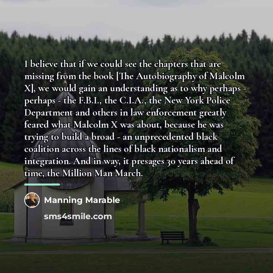 “I believe that if we could see the chapters that…” quote by Manning Marable