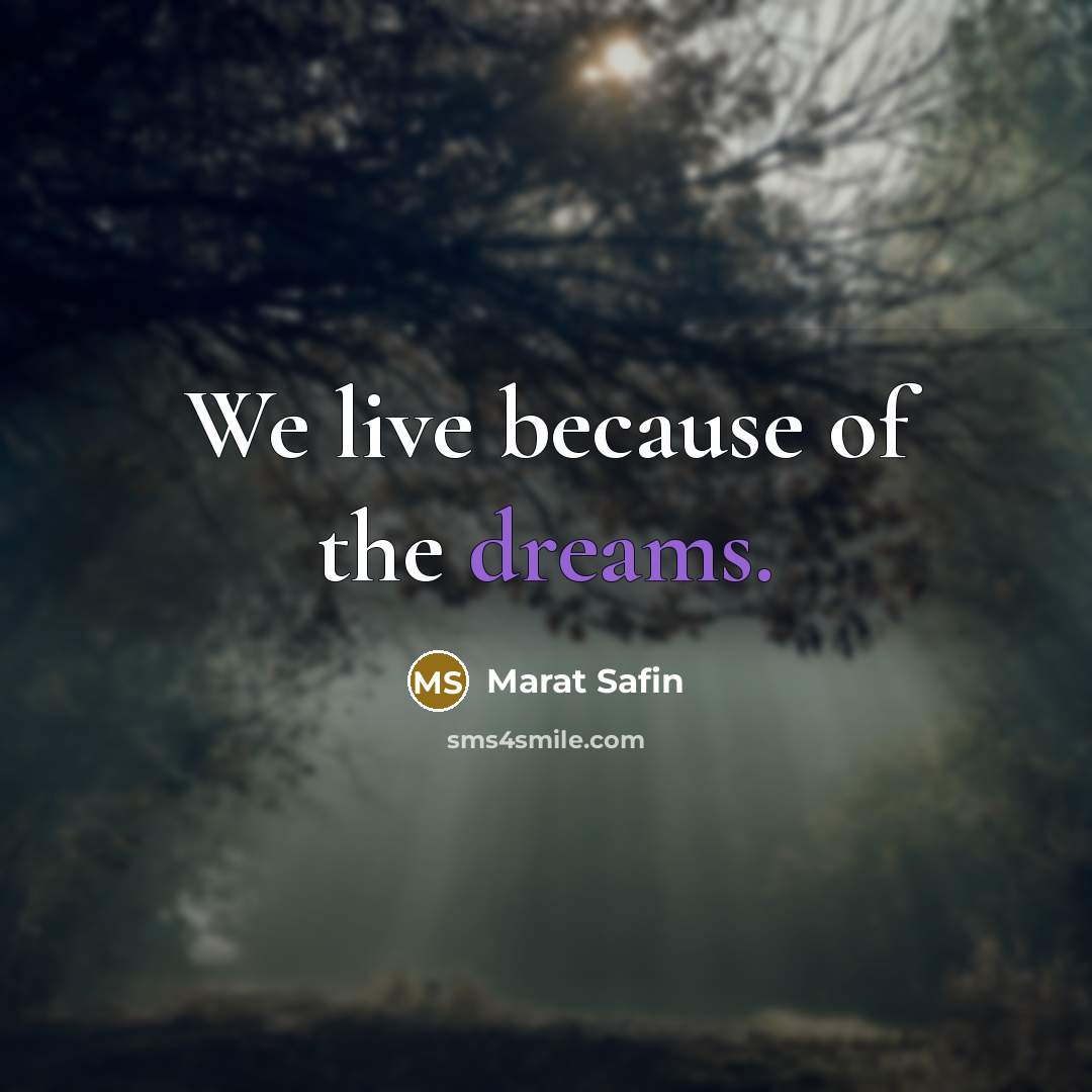 “We live because of the dreams.…” quote by Marat Safin