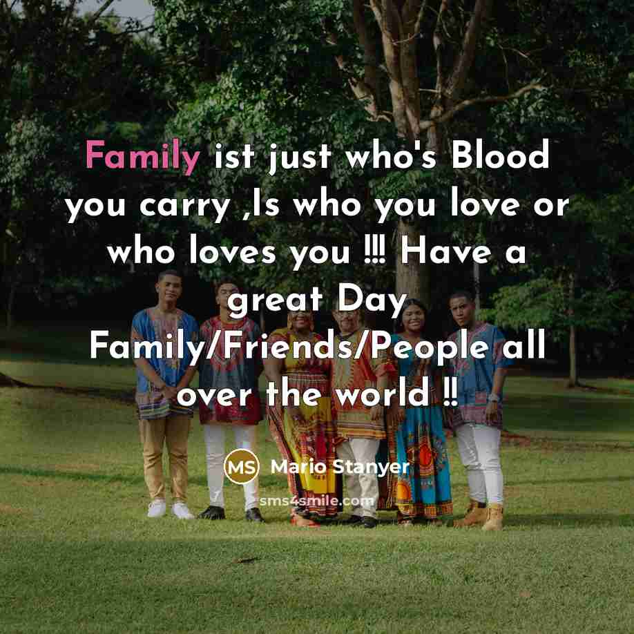 “Family ist just who's Blood you carry ,Is who you…” quote by Mario Stanyer