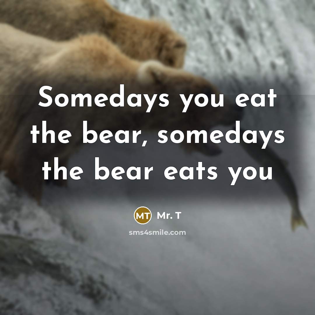 “Somedays you eat the bear, somedays the bear eats you” quote by Mr. T