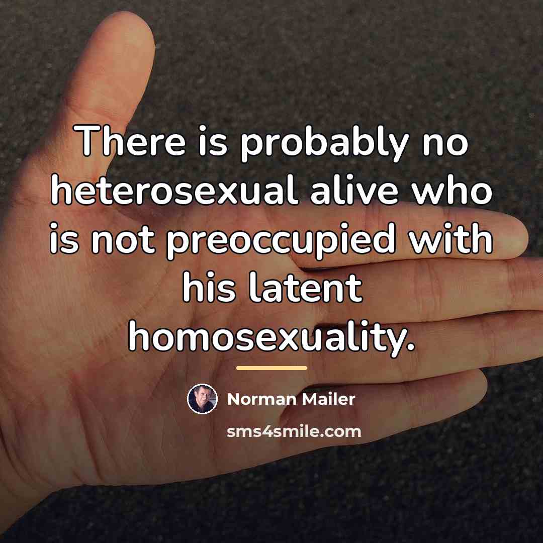 “There is probably no heterosexual alive who is not preoccupied…” quote by Norman Mailer