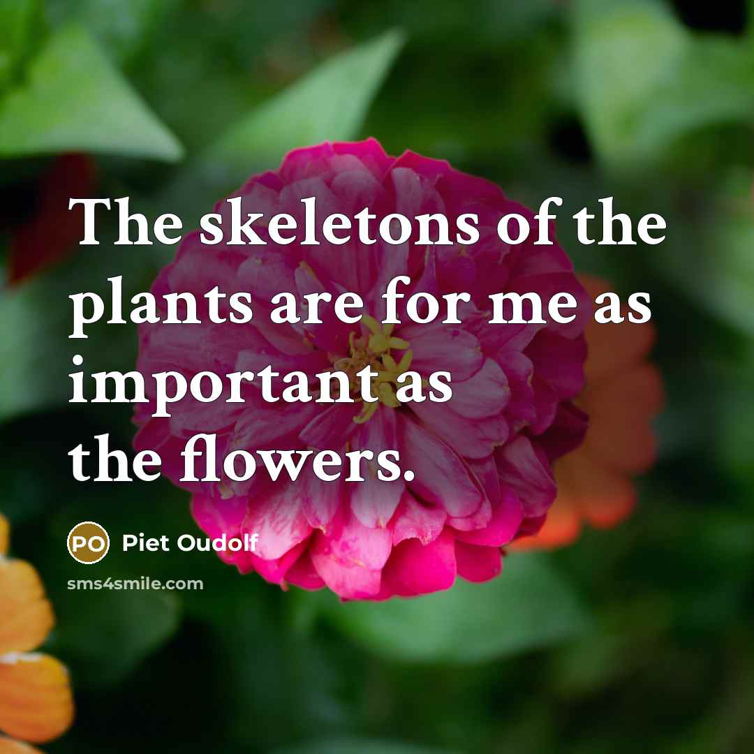 “The skeletons of the plants are for me as important…” quote by Piet Oudolf