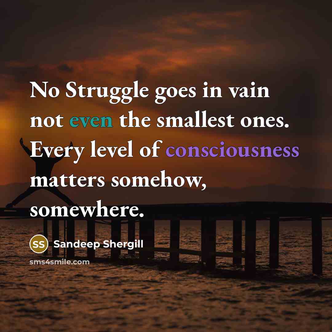 “No Struggle goes in vain not even the smallest ones.…” quote by Sandeep Shergill