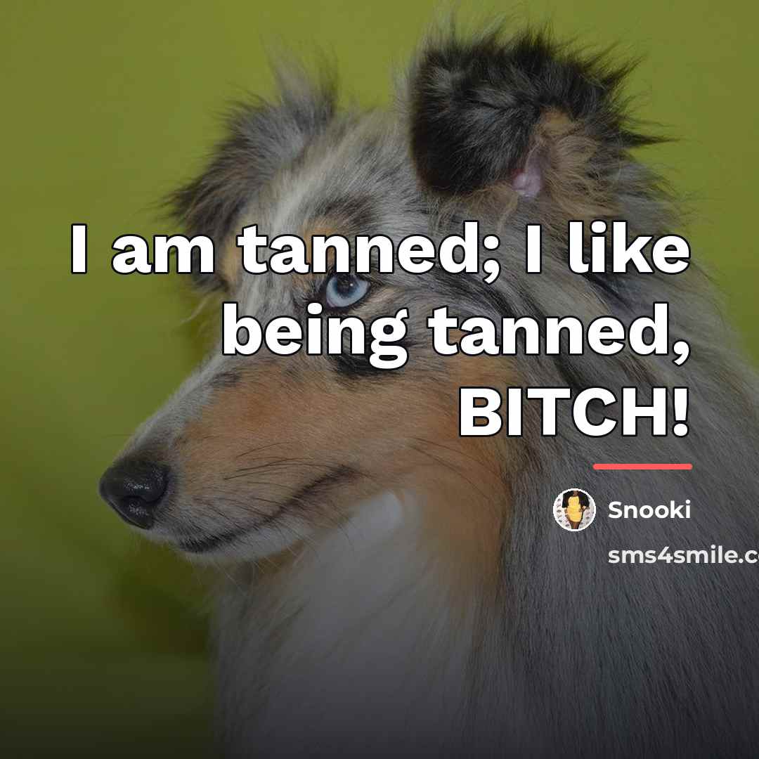 “I am tanned; I like being tanned, BITCH!…” quote by Snooki