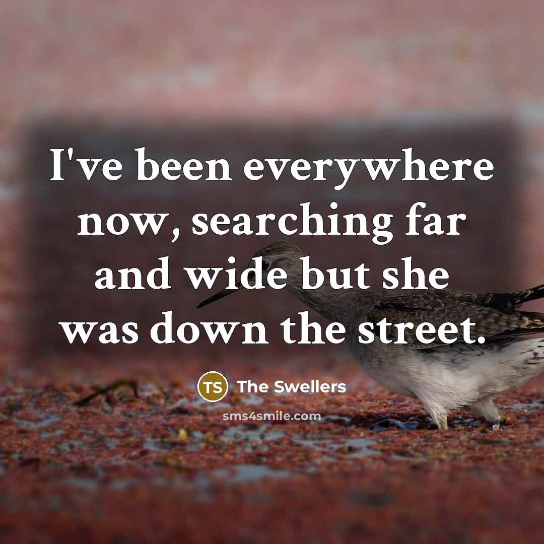 “I've been everywhere now, searching far and wide but she…” quote by The Swellers