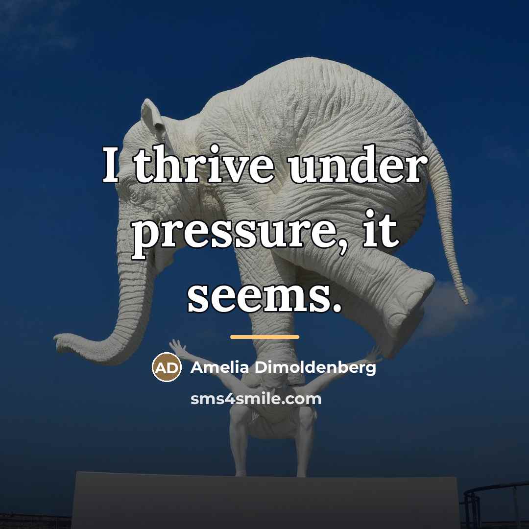 “I thrive under pressure, it seems.…” quote by Amelia Dimoldenberg
