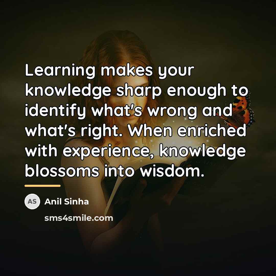 “Learning makes your knowledge sharp enough to identify what's wrong…” quote by Anil Sinha