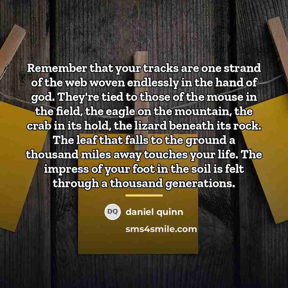 “Remember that your tracks are one strand of the web…” quote by Daniel Quinn