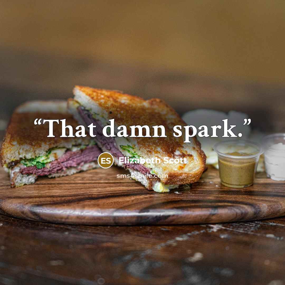 “That damn spark.” quote by Elizabeth Scott
