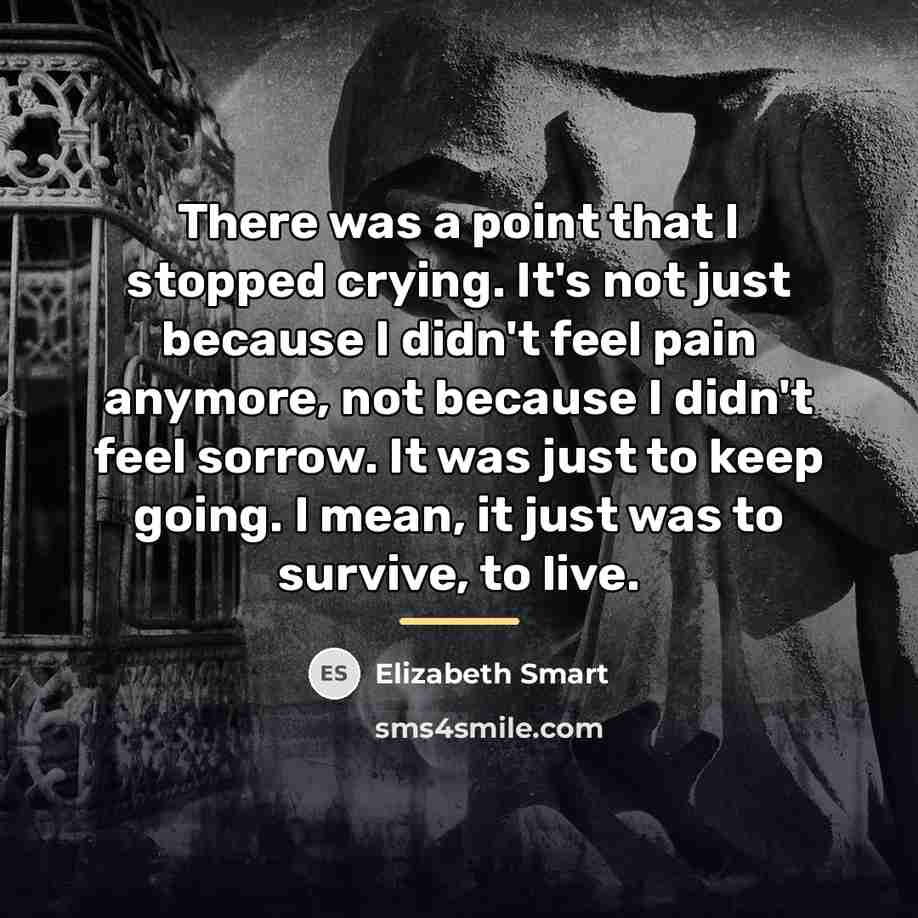 “There was a point that I stopped crying. It's not…” quote by Elizabeth Smart