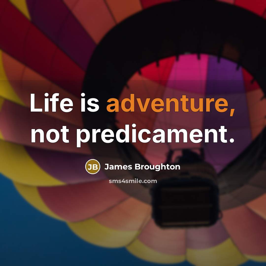 “Life is adventure, not predicament.…” quote by James Broughton