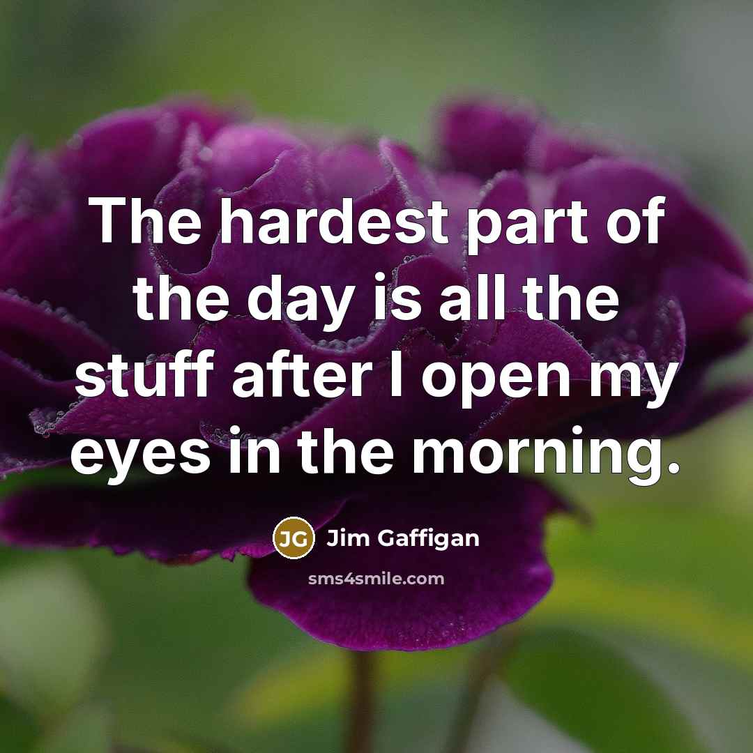 “The hardest part of the day is all the stuff…” quote by Jim Gaffigan