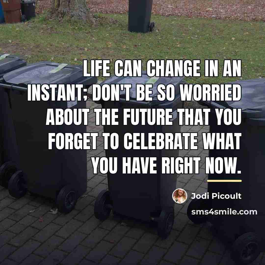 “Life can change in an instant; don't be so worried…” quote by Jodi Picoult