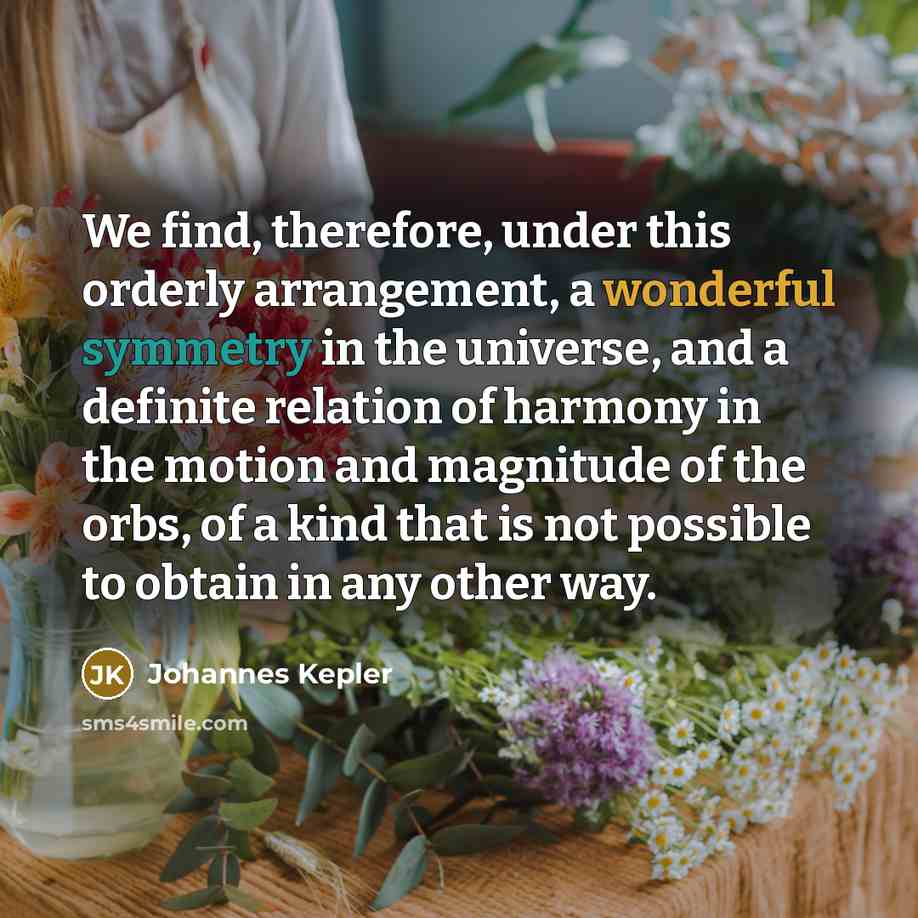 “We find, therefore, under this orderly arrangement, a wonderful symmetry…” quote by Johannes Kepler