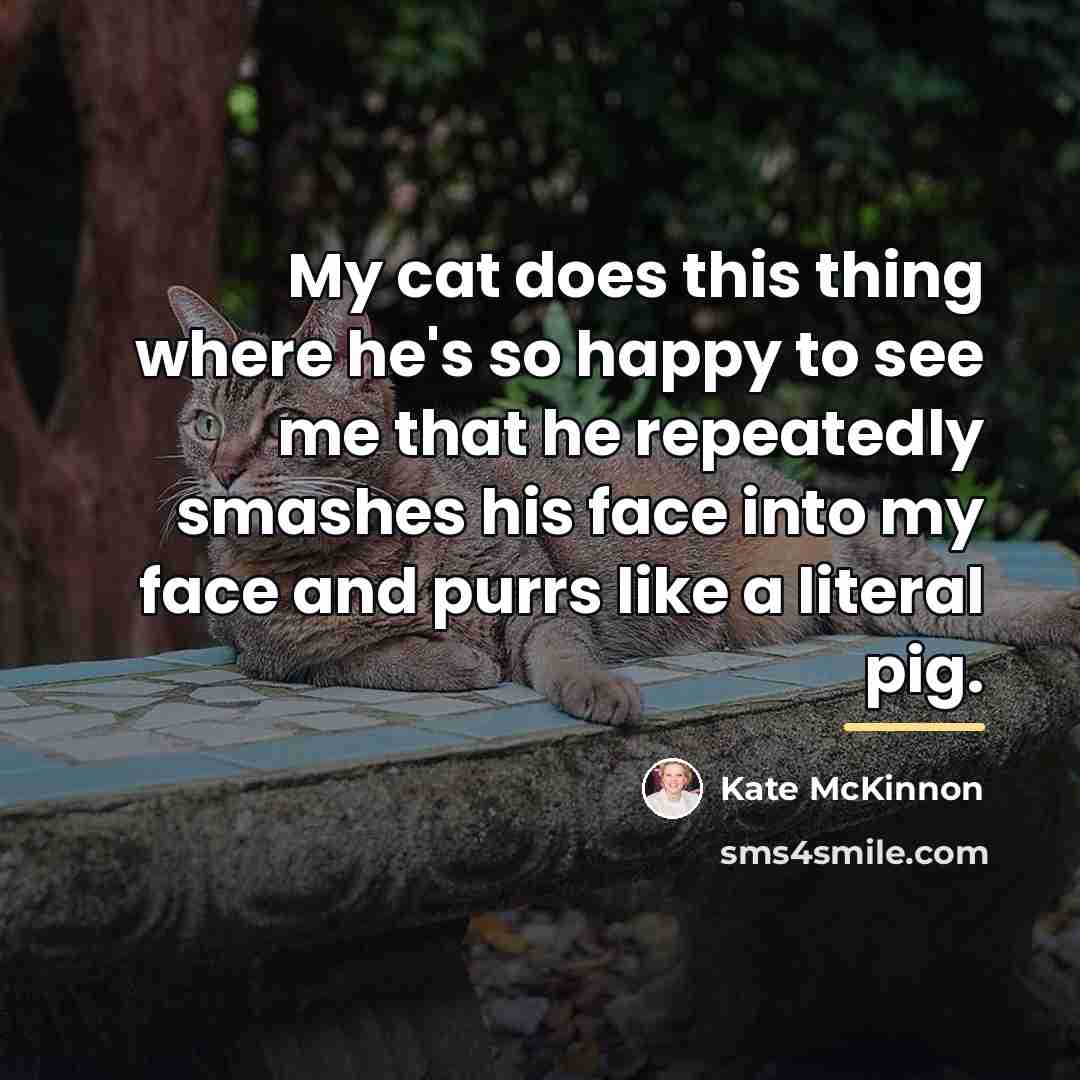 “My cat does this thing where he's so happy to…” quote by Kate McKinnon