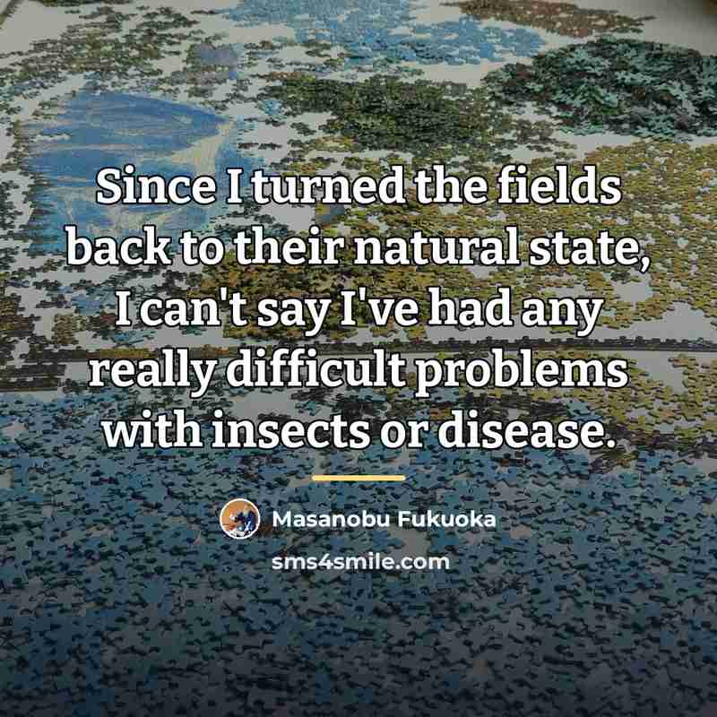 “Since I turned the fields back to their natural state,…” quote by Masanobu Fukuoka