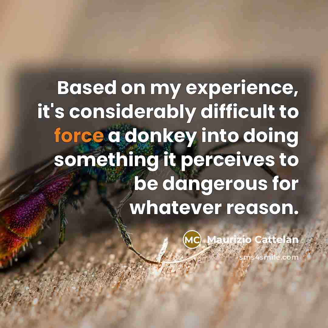 “Based on my experience, it's considerably difficult to force a…” quote by Maurizio Cattelan