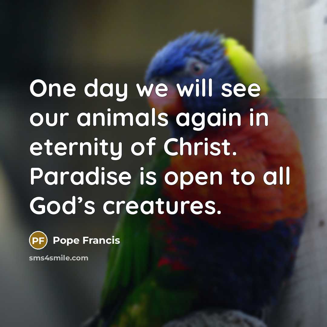 “One day we will see our animals again in eternity…” quote by Pope Francis