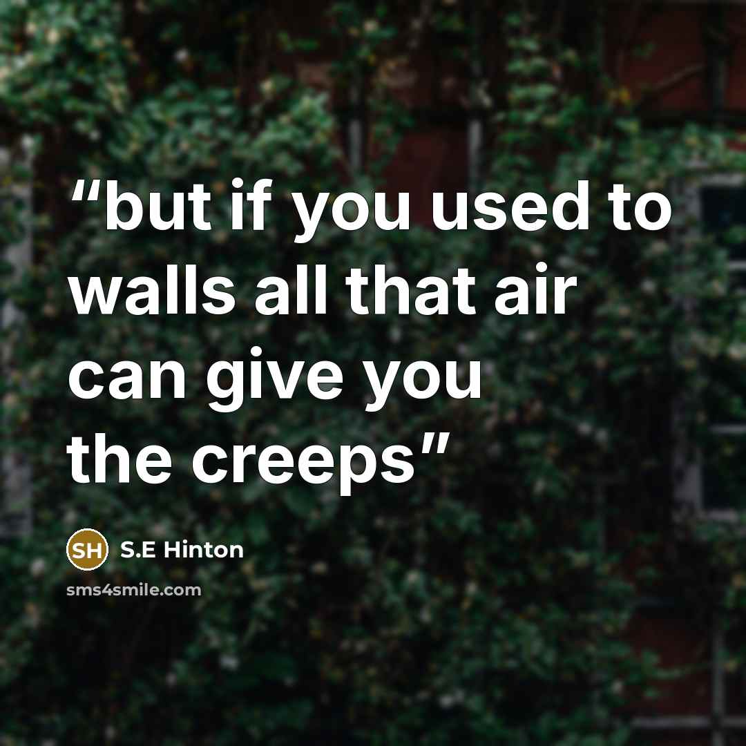 “but if you used to walls all that air can give you the creeps” quote by S.E Hinton