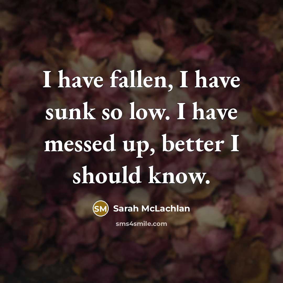 “I have fallen, I have sunk so low. I have…” quote by Sarah McLachlan