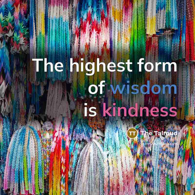 “The highest form of wisdom is kindness” quote by The Talmud