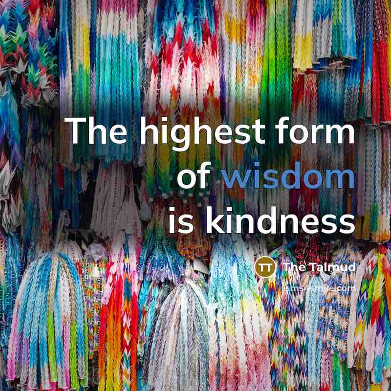 “The highest form of wisdom is kindness…” quote by The Talmud
