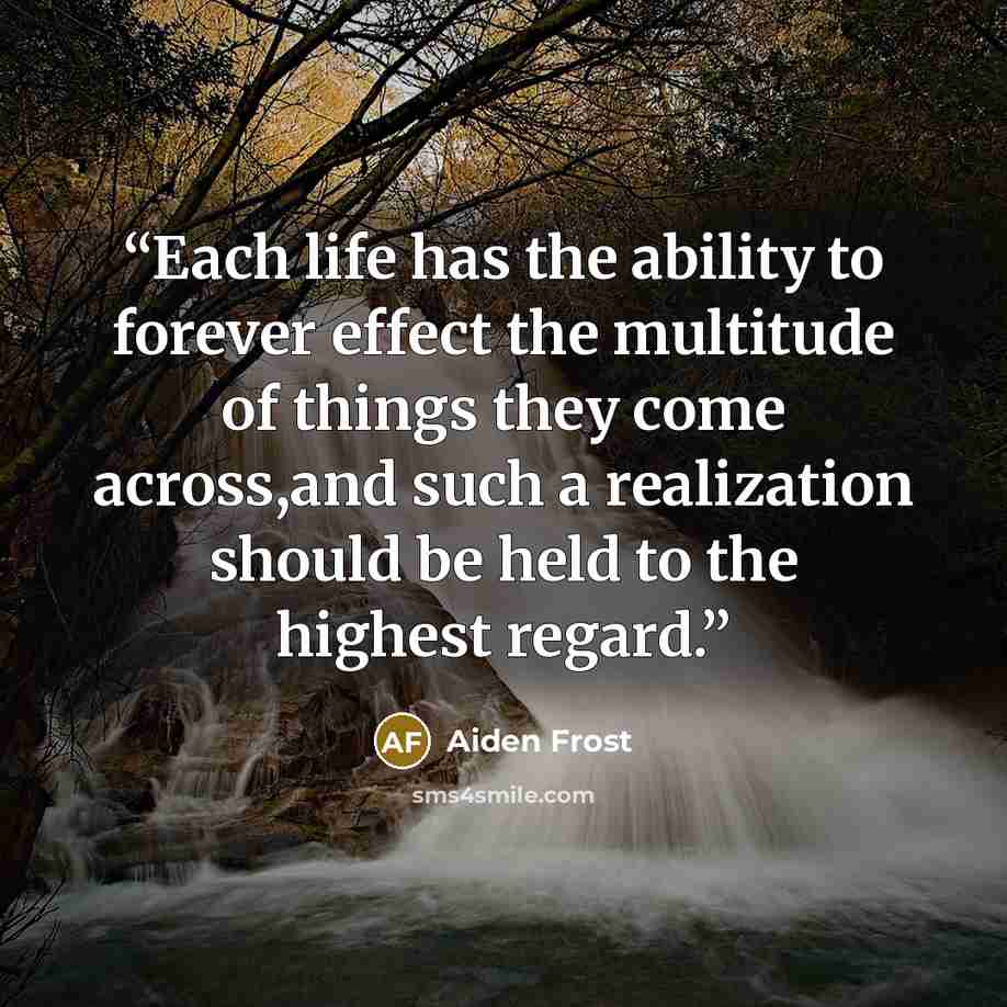 “Each life has the ability to forever effect the multitude of things they come across,and such a realization should be held to the highest regard.” quote by Aiden Frost