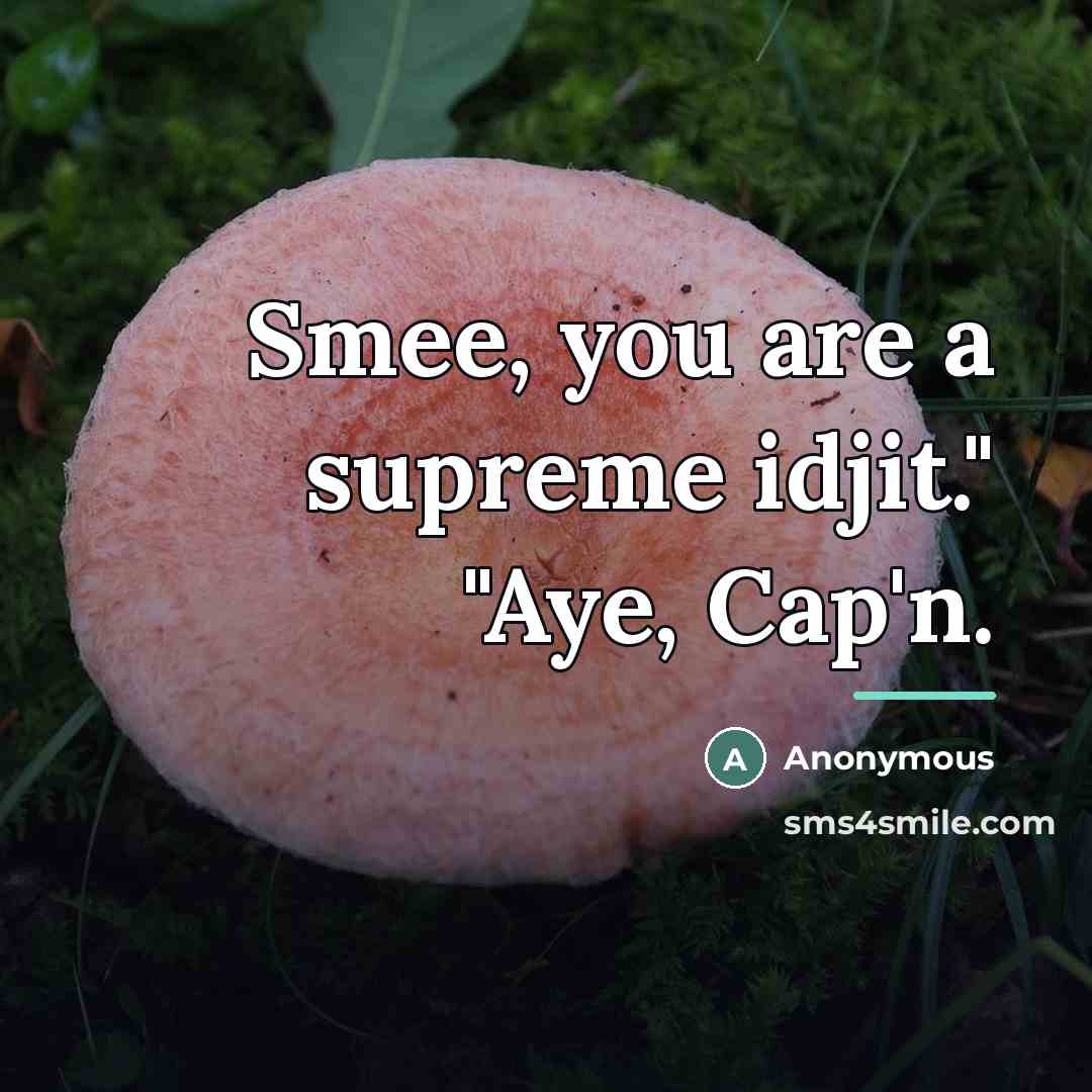 “Smee, you are a supreme idjit." "Aye, Cap'n.…” quote by Anonymous