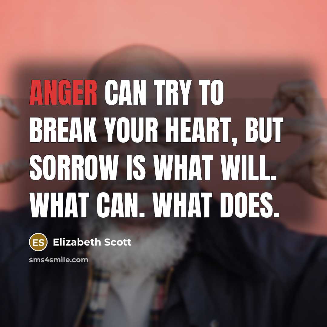 “Anger can try to break your heart, but sorrow is…” quote by Elizabeth Scott