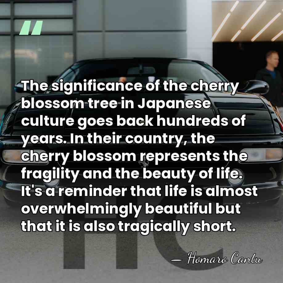 The significance of the cherry blossom tree in Japanese culture goes back&hellip; - Homaro Cantu