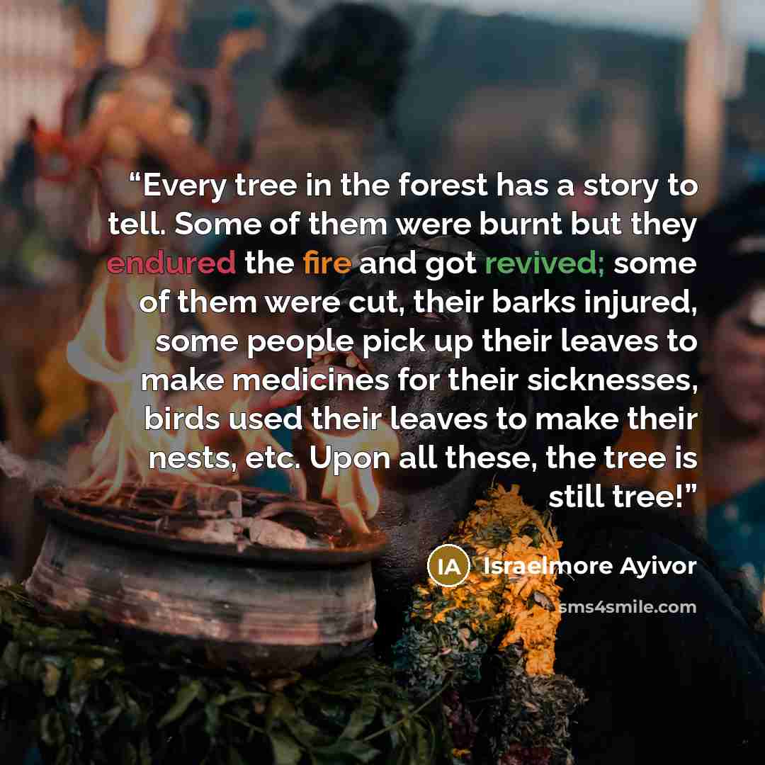 “Every tree in the forest has a story to tell. Some of them were burnt but they endured the fire and got revived; some of them were cut, their barks injured, some people pick up their leaves to make medicines for their sicknesses, birds used their leaves to make their nests, etc. Upon all these…” quote by Israelmore Ayivor