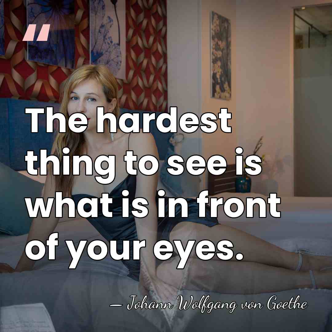 The hardest thing to see is what is in front of your&hellip; - Johann Wolfgang von Goethe