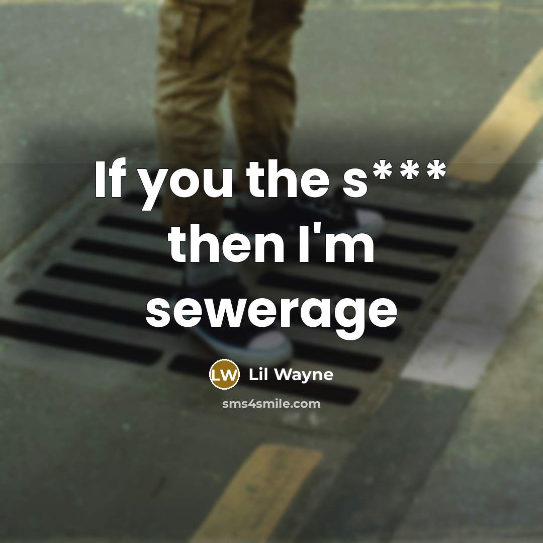 “If you the s*** then I'm sewerage…” quote by Lil Wayne