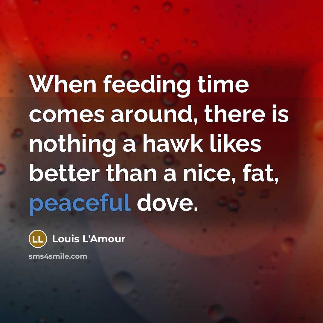 “When feeding time comes around, there is nothing a hawk…” quote by Louis L'Amour