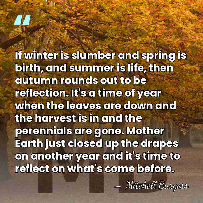 If winter is slumber and spring is birth, and summer is life,&hellip; - Mitchell Burgess