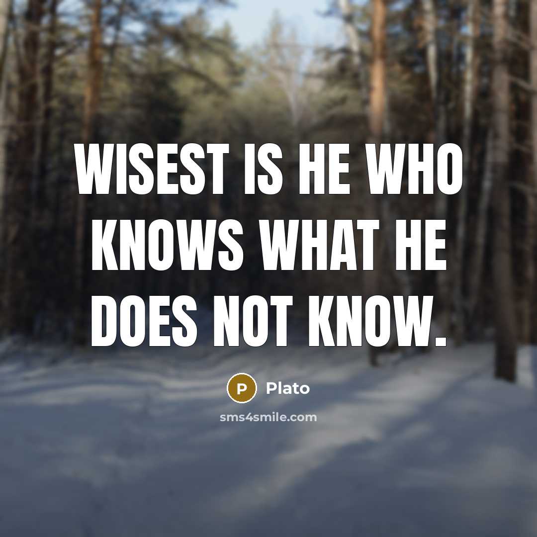 “Wisest is he who knows what he does not know.…” quote by Plato