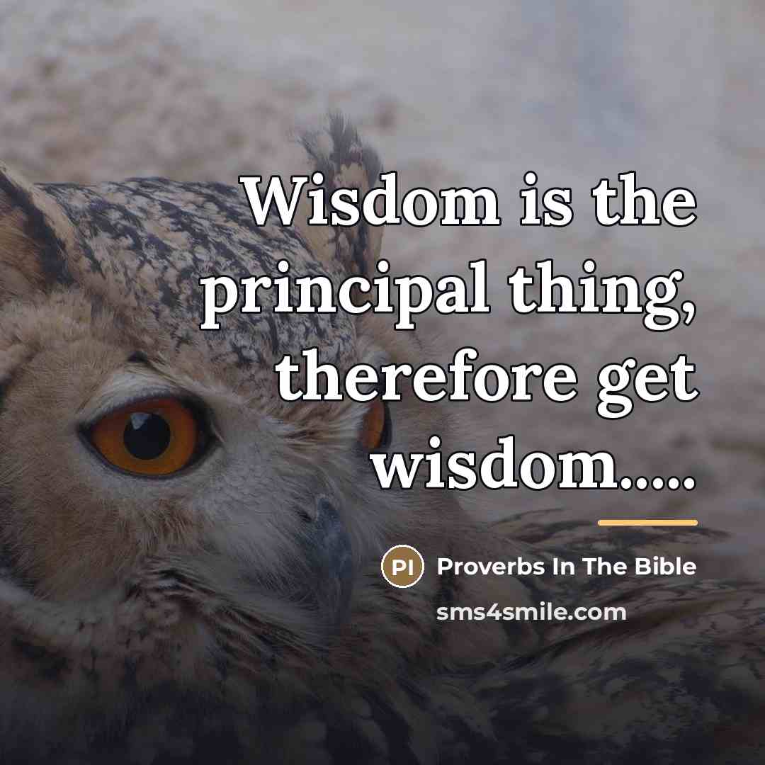“Wisdom is the principal thing, therefore get wisdom.....…” quote by Proverbs In The Bible