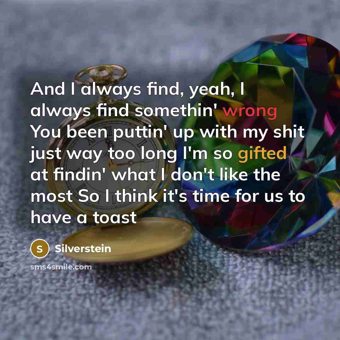 “And I always find, yeah, I always find somethin' wrong You been puttin' up with my shit just way too long I'm so gifted at findin' what I don't like the most So I think it's time for us to have a toast” quote by Silverstein