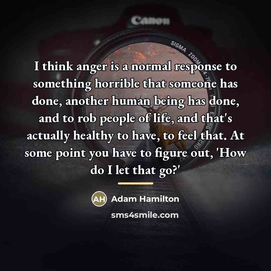 “I think anger is a normal response to something horrible…” quote by Adam Hamilton