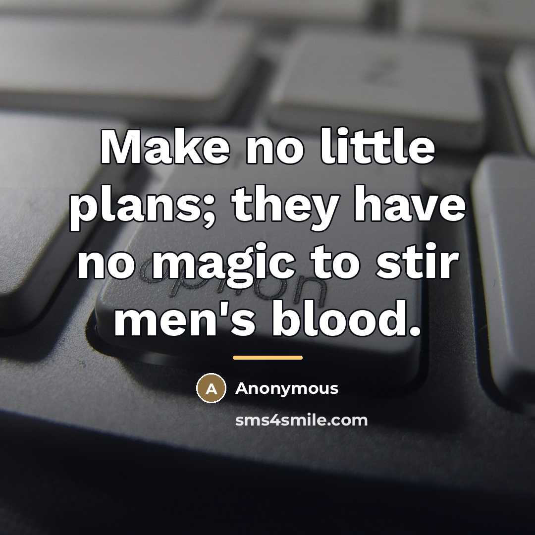 “Make no little plans; they have no magic to stir…” quote by Anonymous