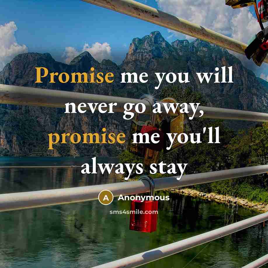 “Promise me you will never go away, promise me you'll always stay” quote by Anonymous