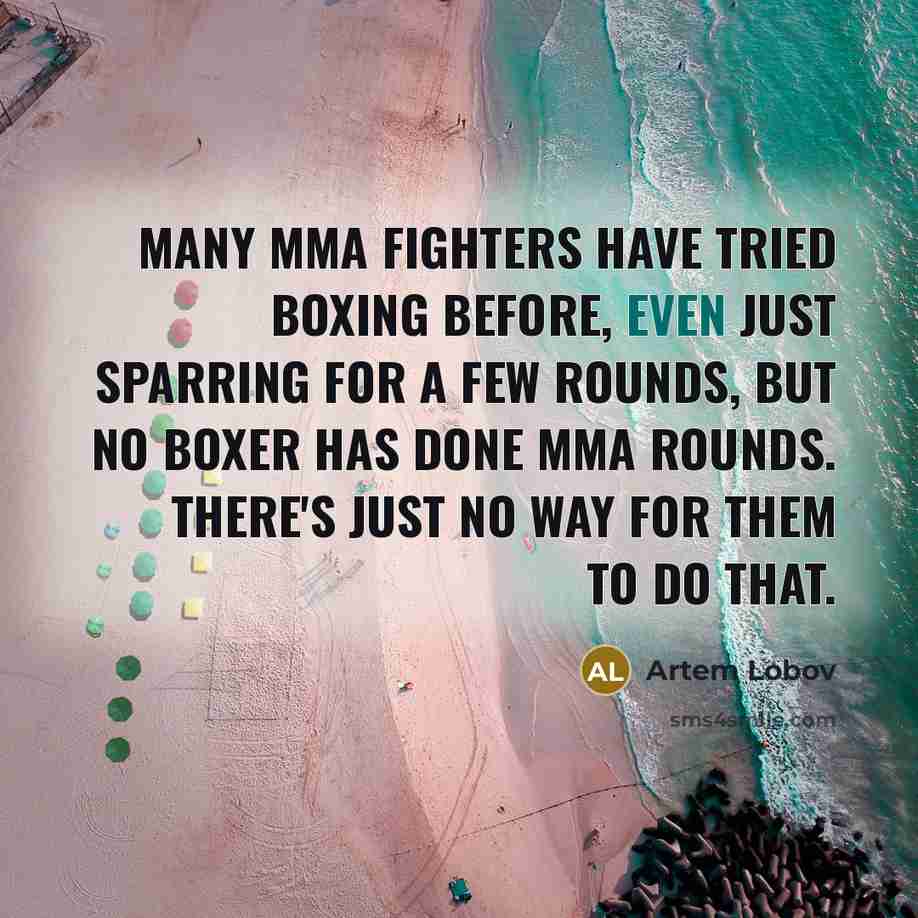 “Many MMA fighters have tried boxing before, even just sparring…” quote by Artem Lobov