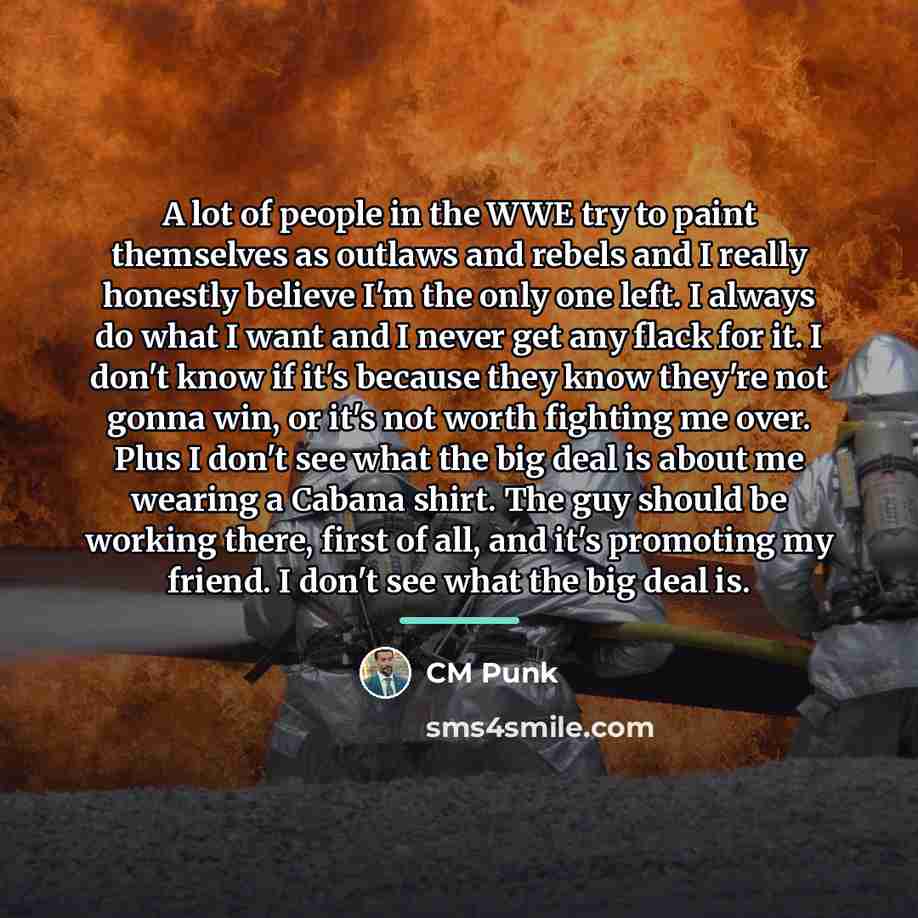 “A lot of people in the WWE try to paint…” quote by CM Punk