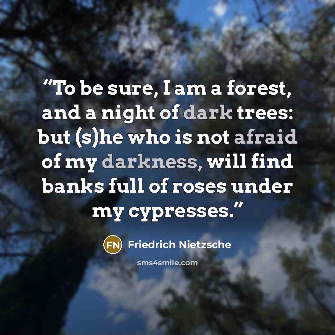 “To be sure, I am a forest, and a night of dark trees: but (s)he who is not afraid of my darkness, will find banks full of roses under my cypresses.” quote by Friedrich Nietzsche