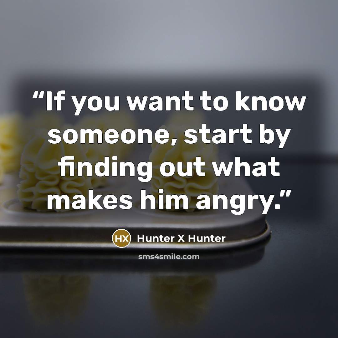 “If you want to know someone, start by finding out what makes him angry.” quote by Hunter X Hunter