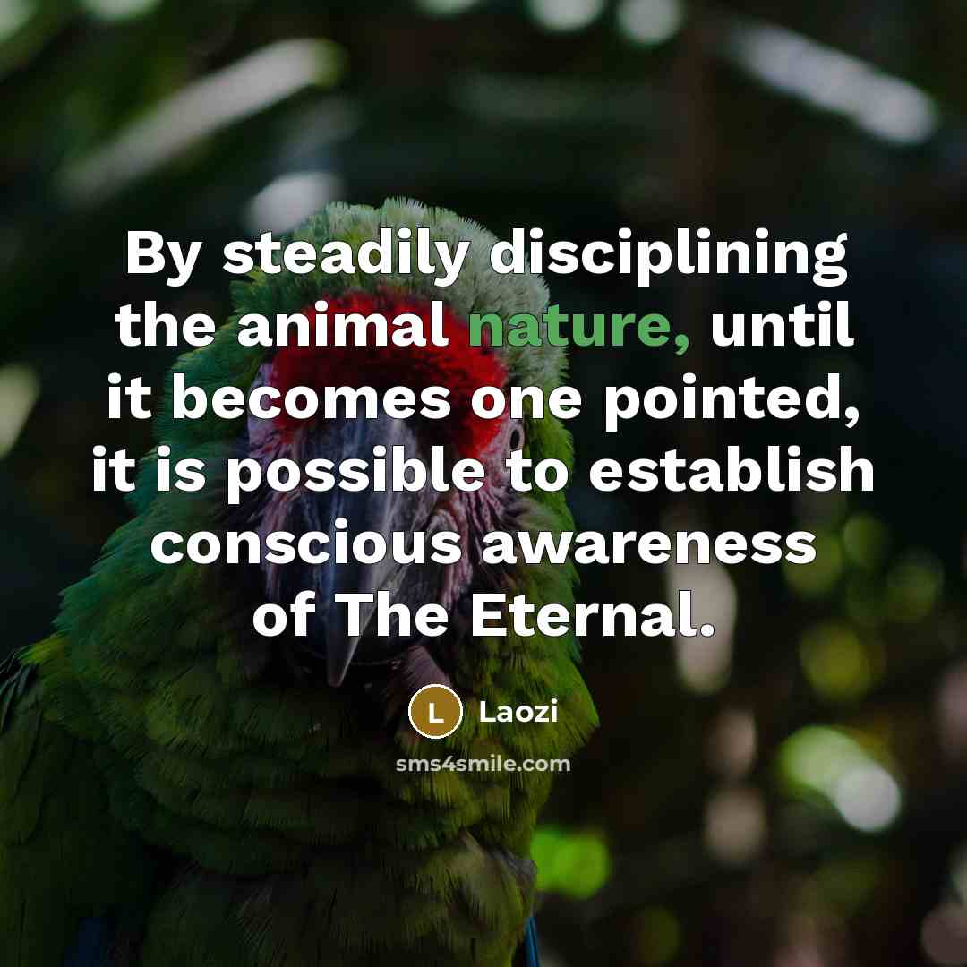 “By steadily disciplining the animal nature, until it becomes one…” quote by Laozi