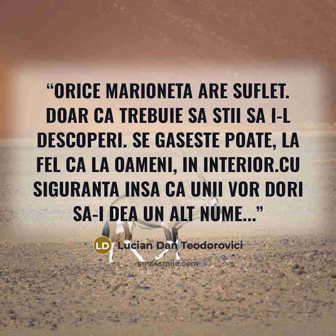 “Orice marioneta are suflet. Doar ca trebuie sa stii sa i-l descoperi. Se gaseste poate, la fel ca la oameni, in interior.Cu siguranta insa ca unii vor dori sa-i dea un alt nume...” quote by Lucian Dan Teodorovici