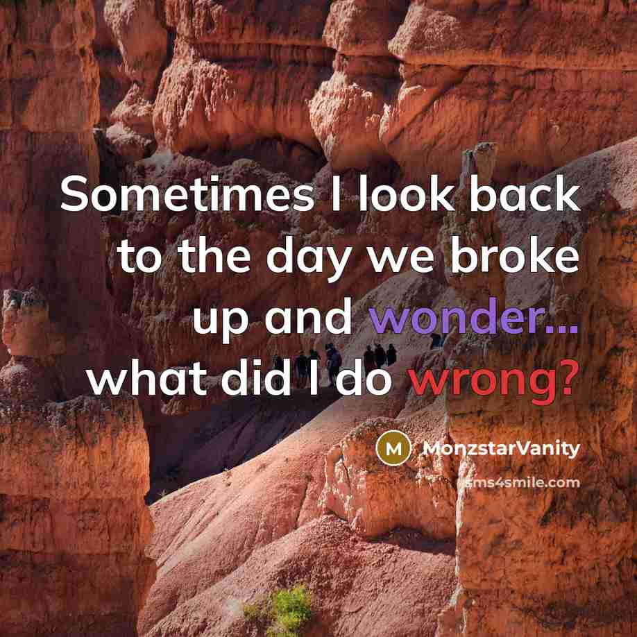 “Sometimes I look back to the day we broke up and wonder... what did I do wrong?” quote by MonzstarVanity