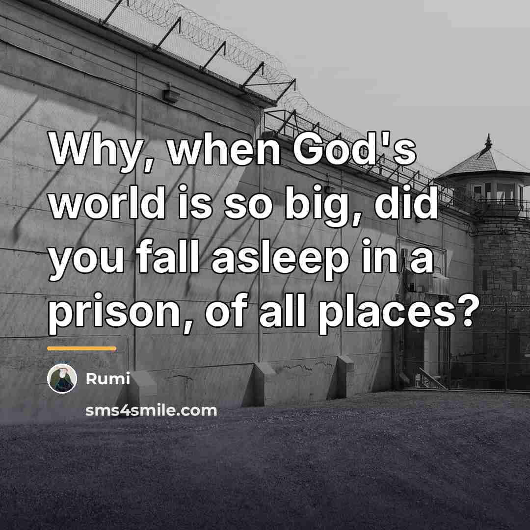 “Why, when God's world is so big, did you fall…” quote by Rumi