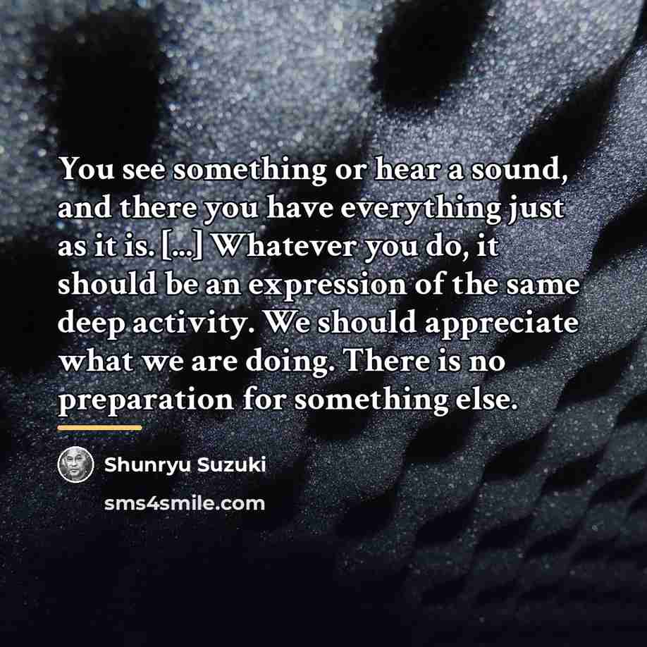 “You see something or hear a sound, and there you…” quote by Shunryu Suzuki